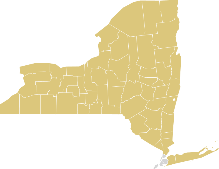 New York State Map